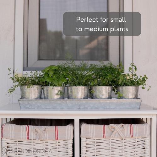 Galvanized Metal Herb Planter, 5 Pots with Drainage Holes, Indoor Outdoor Use, Farmhouse Decor, 19.5x3.9x3.5 inches