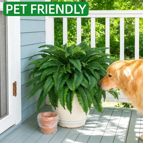 2 Pcs 53 Large Artificial Boston Fern For Outdoor,100 Leaves Each Full & Lifelike Fake Fern Plants For Outside,UV Resistant Faux Fern For Hanging Planters, Porch, Patio Poolside Indoor Outdoor Decor