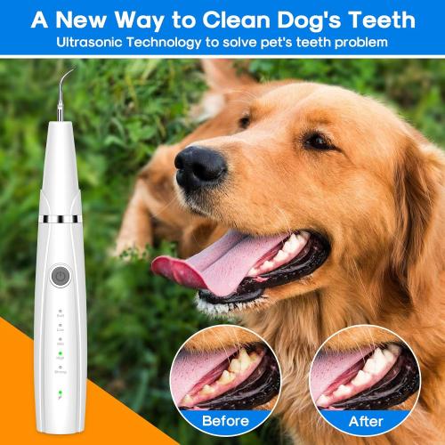 Dog Teeth Cleaning Kit, 5 Modes Plaque and Tartar Remover for Pet Teeth Care, 10 in 1 Cleaner Toothbrush to Remove Stains Calculus (White)