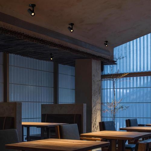 Aisilan Adjustable Dimmable Beam Angle 10-55° Zoomable Spotlight Indoor, 12W White LED CRI 97 Ceiling Spotlight Fixture, 2 Pack 3000K Modern Accent Lighting for Hallway, Living Room, Mural