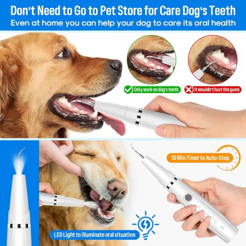 Dog Teeth Cleaning Kit, 5 Modes Plaque and Tartar Remover for Pet Teeth Care, 10 in 1 Cleaner Toothbrush to Remove Stains Calculus (White)