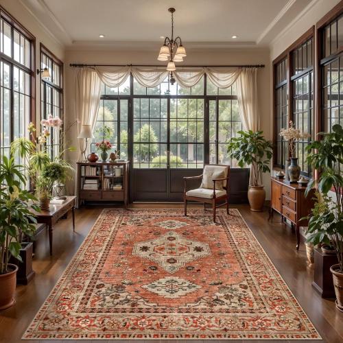 Tangsoo Boho Rug Washable Area Rugs for Living Room, Oriental Vintage Indoor Non Slip Large Area Rug, Print Terracotta Carpet, Soft Low Pile Rug Foldable Floor Rugs for Bedroom Dining Room Dorm