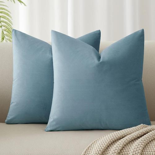 JUSPURBET Light Blue Throw Pillow Covers Set of 2 Decorative Velvet Pillow Covers for Couch Sofa Bed Soft Cushion Covers Cases with Invisible Zipper for Living Room Home Decor 16x16 inch