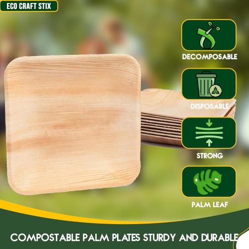 Eco Craft Stix 10 inch Square Palm Leaf Plates. Eco Friendly Dinnerware. Pack of 80  Plates. Eco-Friendly and Compostable Palm Plates. Sturdy and Durable