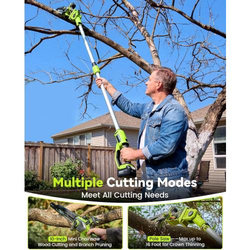 10 Inch Electric Pole Saws for Tree Trimming, 1000W Brushless Pole Saw and Mini Chainsaw 2 in 1, 2*4000mAh Battery, Lightweight Tree Saw with Extension Pole, 16Ft Max Reach Tree Trimmer Branch Cutter