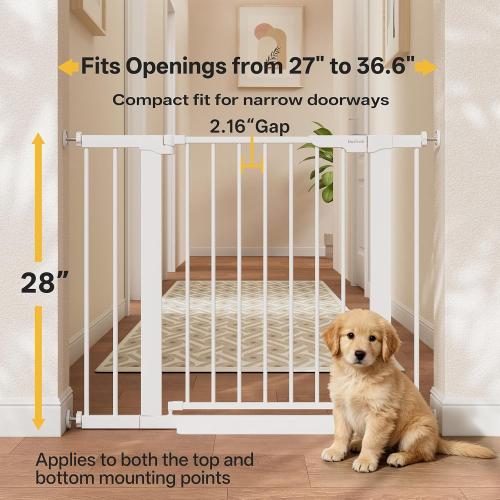 InnoTruth 27-36.6 in Wide Baby Gate for Stairs and Doorways, White | Indoor Metal Dog Gate for Pets, Auto Close 2 Way Swing Walk Through Door, Double Lock & Y-Bolts, Pressure or Hardware Mount