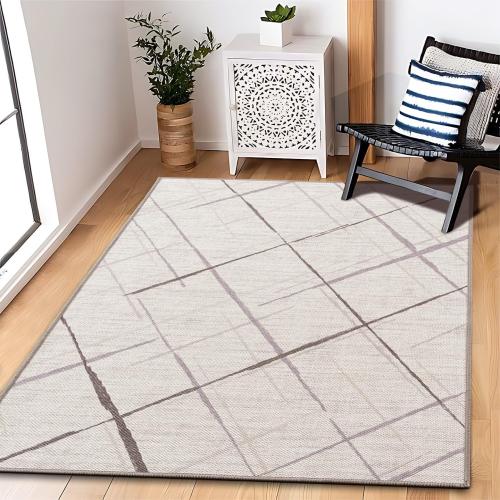 3x5 Modern Washable Area Rug, Doormat Rugs, Tear and Stain Resistance, Non-Slip, Hand Woven Style Thin Entryway Rug Throw Rug for High Traffic Entrance Kitchen Bedside- White