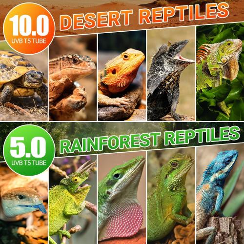 REPTI ZOO UVB Reptile Light, New Version T5 HO UVB Lighting Combo Kit, Reptile Terrarium Hood with 10.0 UVB Tube Bulb, Reptile Light Fixture 39W-34Inch