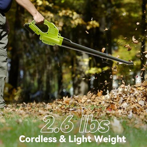 Green Leaf Blower Cordless with 2 Battery and Charger, 130MPH 180CFM High Speed Leaf Blower with 2 Tubes, 20V Electric Leaf Cleaner, Lightweight Handheld Small Blower for Patio, Garden, House, Depot, Green