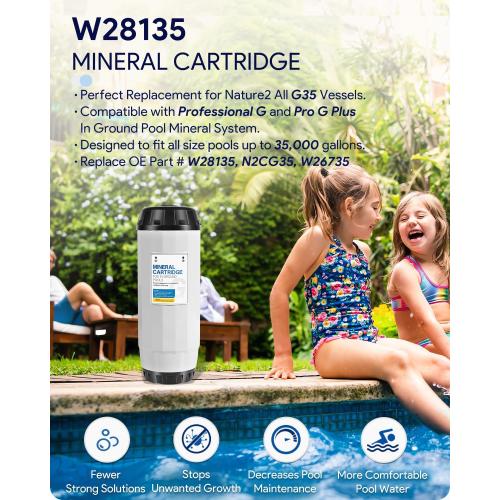 Replacement for Nature2 W28135 Mineral Cartridge for All G35, Professional G & Pro G Plus In Ground Pool Santizers, for Pools up to 35,000 Gallons, N2CG35, W26735