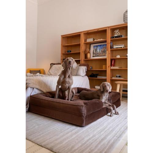 NOAH & PAW Giant Dog Bed XXL, 55x45x11 Inch, Orthopedic Dog Beds, Eggshell Memory Foam Infused with Cooling Gel, Inner Cover, Waterproof, Machine Washable (Velvet Sofa Collection)