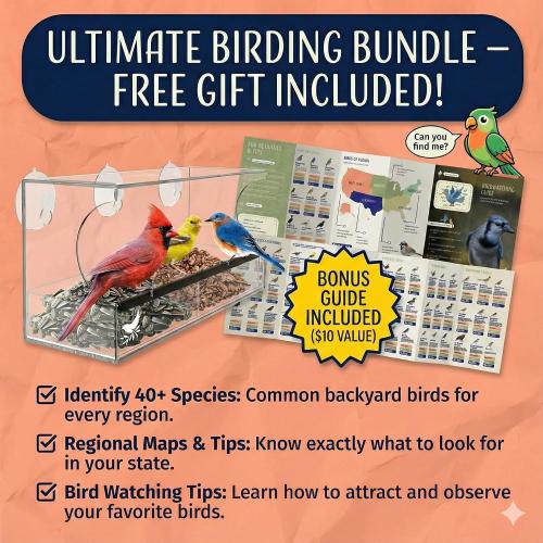 Window Bird Feeder by Nature's Hangout - No Assembly, Strong Suction Cups | Acrylic Bird Feeders for Outside Bird Watching for Cats Easy-to-Clean Birdhouse Bird Feeder for Window Viewing Slide-out Tray