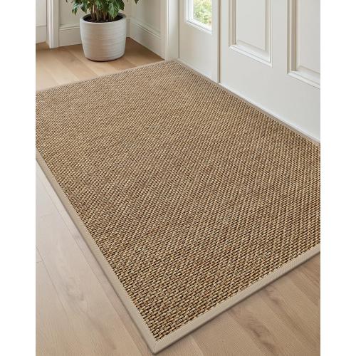 DEXI Ultra Thin Entryway Indoor Door Mat 32x48, Non Slip Rubber Backing Inside Entry Mat, Low Profile Easy Clean Dirt Trapper Doormat for Inside Entrance Patio, Beige