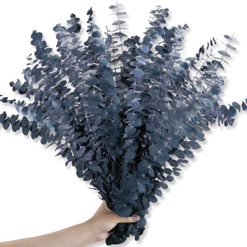 26Pcs Real Dried Eucalyptus Stems, 17 Blue-Green Dry Flowers
