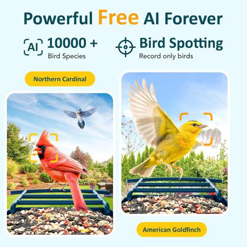 BIRDLEGEND® Bird Feeder with Camera Solar Powered, 2K Portrait Live Free AI Forever Instant Arrival Alerts with 64GB Card, Smart Camera Birds Feeders Wireless Outdoor Gift for Bird Lover, 2.4G WiFi