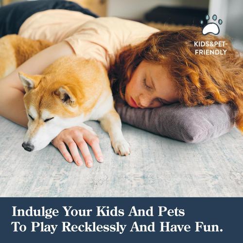 Lahome Blue Rugs for Living Room, 8x10 Distressed Light Blue Area Rugs for Bedroom, Stain Resistant Large Carpets for Dining Room, Soft Non Slip Floor Mat for Kids Room