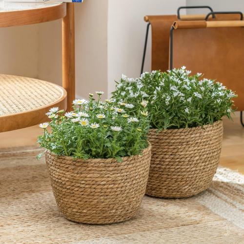 La Jolíe Muse Seagrass Planter Basket Indoor, Flower Pots Cover, Plant Containers, Natural, 3-Pack