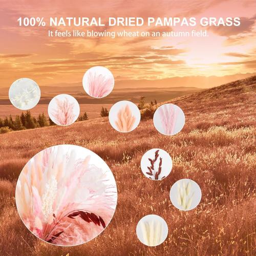 N&T NETING 85Pcs Pink Pampas Grass Decor, Natural Dried Floral Pampas Grass, Boho Home Decor, Fluffy Dried Pompas Grass for Home Wedding Boho Beach Theme Bedroom Decor