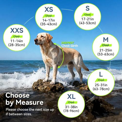 VIVAGLORY Dog Life Vest Rip Stop Dog Swim Vest, S, Blue | High Visibility Ripstop for Puppy Cat Doggy, Life Jacket with Handle & Leash Ring for Boating & Swimming