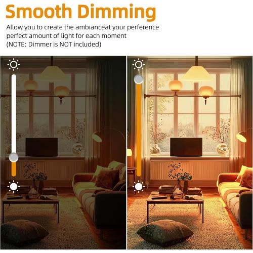 R7S Halogen Light Bulbs 120V 150W,6 Pack J78mm T3 J Type Halogen Bulbs, 3 Inch Long Double Ended Light Bulb for Work, Security,Landscape Lights, Dimmable