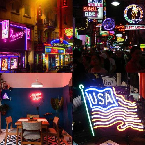 Neon Led Type AC 110-120V LED NEON Light Strip, Flexible/Waterproof/Dimmable/Multi-Modes LED Rope Light   23 Keys Remote for Home/Garden/Building Decoration (16.4ft/5m, Red)