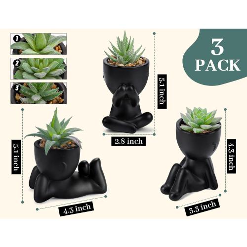Der Rose 3pcs Fake Succulents Plants Artificial for Black Bathroom Bedroom Home Living Room Halloween Decor Aesthetic Indoor