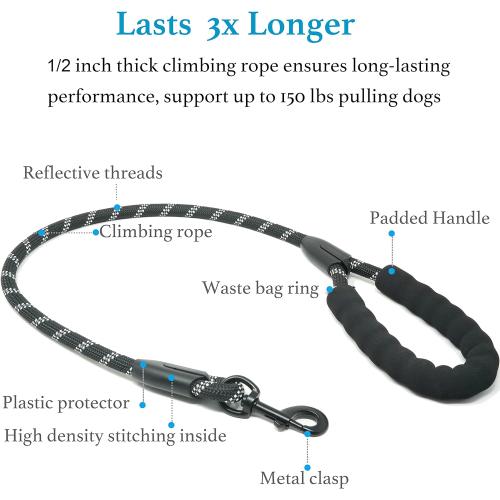 iYoShop Dual Dog Leash - 360° Swivel, No Tangle Walking Leash with Shock Absorbing Bungee for Two Dogs (Large, 25-150 lbs, Black)