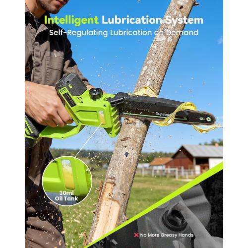 10 Inch Electric Pole Saws for Tree Trimming, 1000W Brushless Pole Saw and Mini Chainsaw 2 in 1, 2*4000mAh Battery, Lightweight Tree Saw with Extension Pole, 16Ft Max Reach Tree Trimmer Branch Cutter