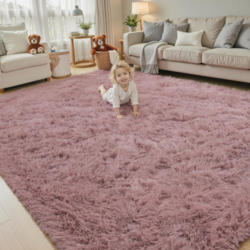 Rugs for Living Room 5x8, Alfombras para Salas Shag Large Plush Soft Area Rug, Shaggy Carpets for Bedroom, Kids Boys Girls Home Decor Aesthetic(Blush, 5 x 8)