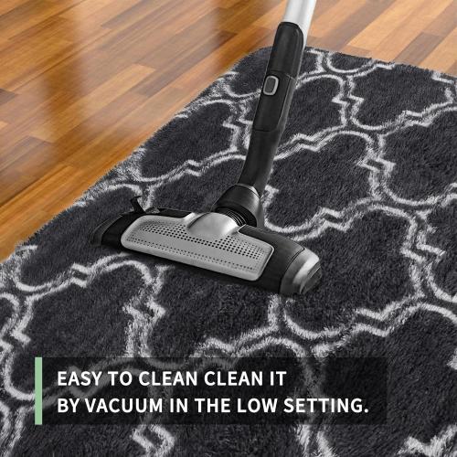 Sour Lemon 8x10 Area Rugs for Bedroom, Living Room Fluffy Rug, Large Area Rug Shag Shaggy Carpet Soft Plush Furry Bedside Rugs, Machine Washable Area Rugs for Kids Girls Boys Home Decor Anti Slip