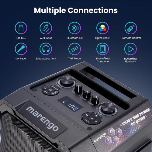 Karaoke Machine with 2 Wireless Microphones, Portable Bluetooth Party Karaoke Speaker with LED Lights, Bass/Treble Adjustment, TWS, 800W(Peak) PA System for Home Party, Supports USB/AUX/REC/Mic-in ( no remote)