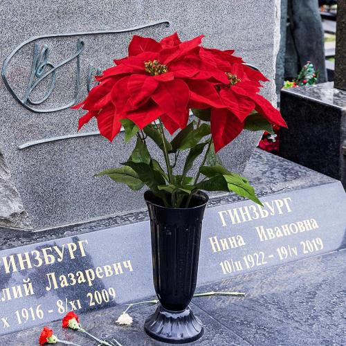 MARTINE MALL 21.3 in Poinsettia Flowers Artificial, 2 Packs Poinsettia Christmas Decoration, Long Stem Velvet Poinsettia Bouquet for Christmas Tree Porch Home Garden Indoor Outdoor Decoration