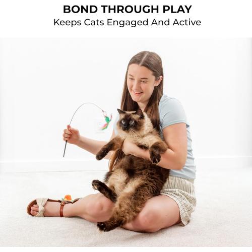 Cat Toys for Indoor Cats, Interactive Cat Toy Wand, Kitten Stuff, 18 Lures | Heavy Stable Base Prevents Toppling, Dual Suction Cup For Extra Play Options, Trigger natural feline hunting instincts today
