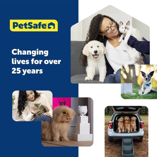 PetSafe Martingale Dog Collar Small, 3/4 Inch, Royal Blue