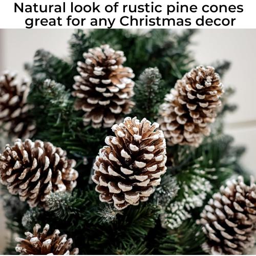 10 Pieces Large Christmas Pine Cones Decorations Picks - Frosted Snow Pine Cones for Christmas Tree, Garland Wreath Ornaments Home Decorating Pinecones Winter Holidays