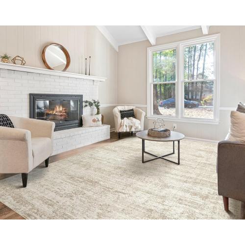Large Area Rug Living Room Rugs - Washable Neutral Modern Abstract Soft Thin Rug Indoor Floor No Slip Rug Carpet for Bedroom Under Dining Table Home Office Decor - Beige/Brown