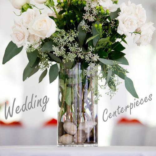 CYS Excel Large Glass Cylinder Vase (H:16 D:8) Flower Vase Centerpieces Hurricane Floating Pillar Candle Holder Terrarium Planter