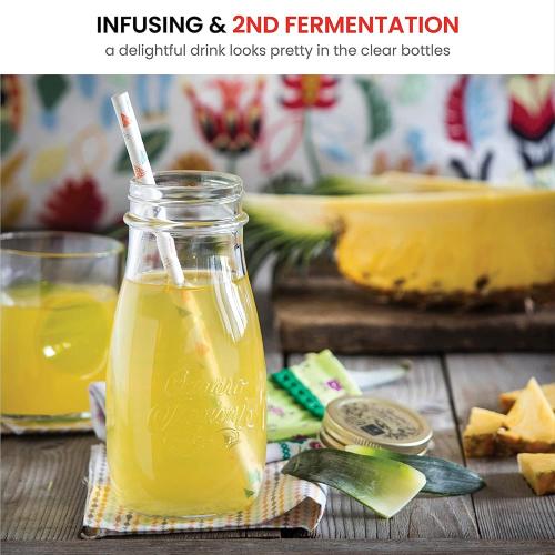 Bormioli Rocco Quattro Stagioni Bottles Clear Glass with Twist Lids for Food Preserving, Beverage Serving, Homemade Gifts, Sauces & Infused Drinks - Airtight, Made in Italy