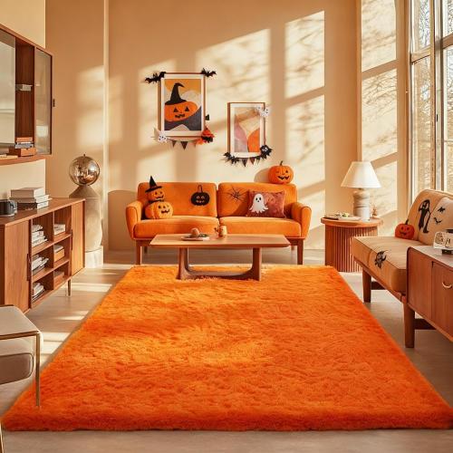 Ophanie Orange Rugs for Living Room Bedroom, 6x9 Fluffy Fuzzy Furry Carpet, Plush Soft Shaggy Bedside Indoor Floor Area Rug for Kids Girls Boys Baby Teen Dorm Nursery Home Decor Aesthetic