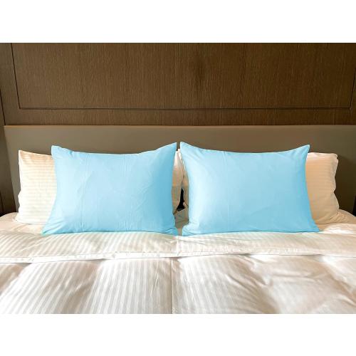 iMaylex Soft 100% Egyptian Cotton Zipper Closure Pillowcases, Cozy and Lightweight Pillow Case, Set of 2, Light Blue, Queen, 20 x 30