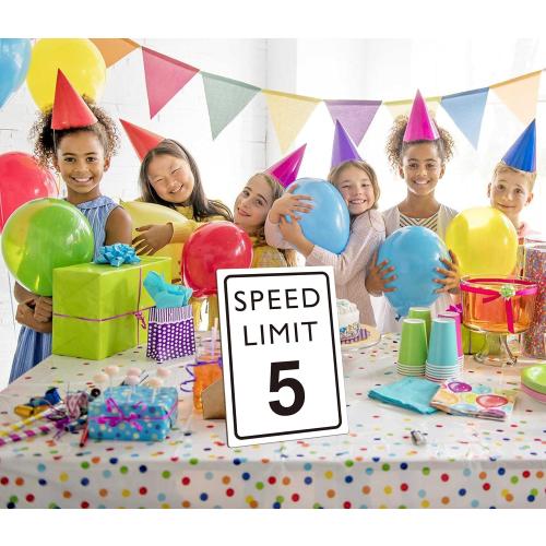 Race Car Birthday Decor, Speed Limit Sign, Fast Five, Race Car Birthday Party Decorations, 8×11 Wooden Play Sign with Stand, Let's Go Racing Party Supplies for Boy Race Fans - LP066