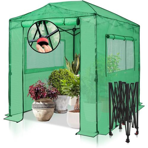 EAGLE PEAK 8x6 Portable Walk in Greenhouse, Pop Up Indoor Outdoor Greenhouse, Green House Kit with Zippered Roll-Up Doors and Windows, PE Cover, Clear/Green