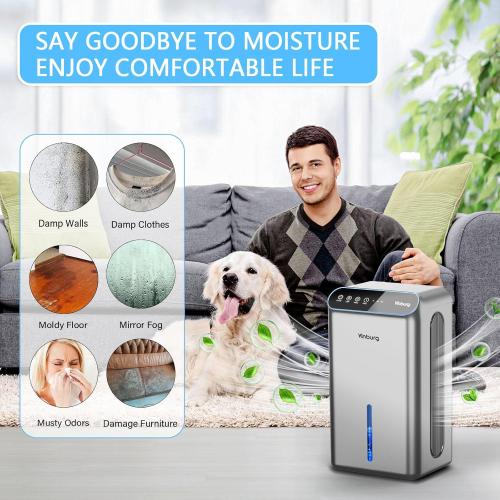 Dehumidifier for Basement (85 OZ, 800 sq ft) Quiet Dehumidifiers for Home, Auto Shut-Off, Sleep Mode, 3 Gear Timer(8H,16H,24H), Small Dehumidifier for Bedroom, Bathroom with Drain Hose(Silver Gray)