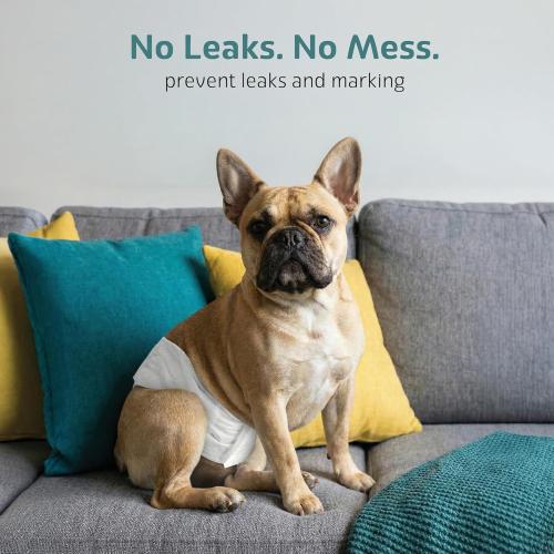 Maximum Absorbency Male Dog Diapers - Leak-Proof Disposable Male Dog Wraps- FlashDry Gel Technology, Wetness Indicator Doggie Diapers- Belly Wraps for Incontinence & Training (50 Pack, Small)