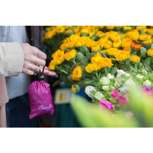 ChicoBag Original Compact Reusable Grocery Bag with Attached Pouch and Carabiner Clip- 4 Pack Blue