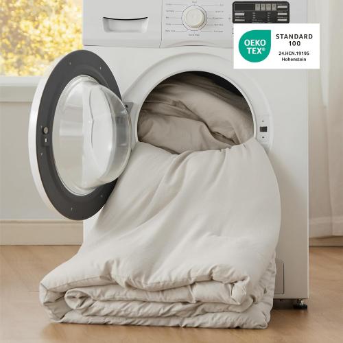 Bedsure Queen Size Comforter Set, Beige Soft Prewashed Bedding for All Seasons, 3 Pieces GentleSoft™ Warm Down Alternative Bed Set, 1 Lightweight Comforter (90x90) and 2 Pillowcases (20x26)