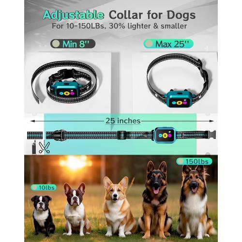 Dog Shock Collar for 2 Dogs 4200FT: Innovative Step Counter & Smart Color Screen Dog Training Collar with Remote 5 Modes, IP67 Waterproof Rechargeable Ecollars for Large Medium Small Dogs