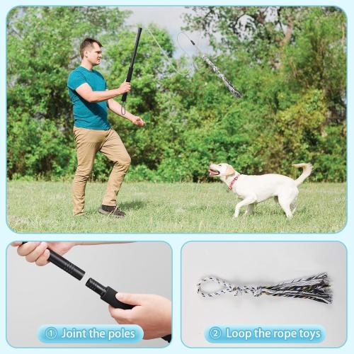 Flirt Pole for Small Medium Dogs,Interactive Chase and Tug of War Outdoor Dog Toys,Heavy Duty Dog Teaser Wand Chase Toys with Rope,Durable Flirt Stick Pole for Dogs Outside Agility Exercise & Training