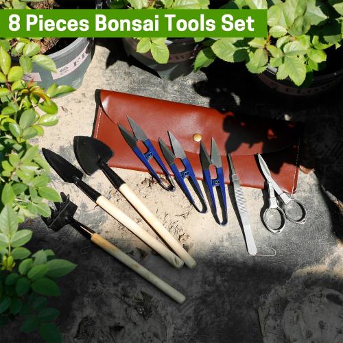 Bonsai Set 8 Pcs - Include Pruner, Fold Scissors, Mini Rake, Bud & Leaf Trimmer Set by ZELARMAN