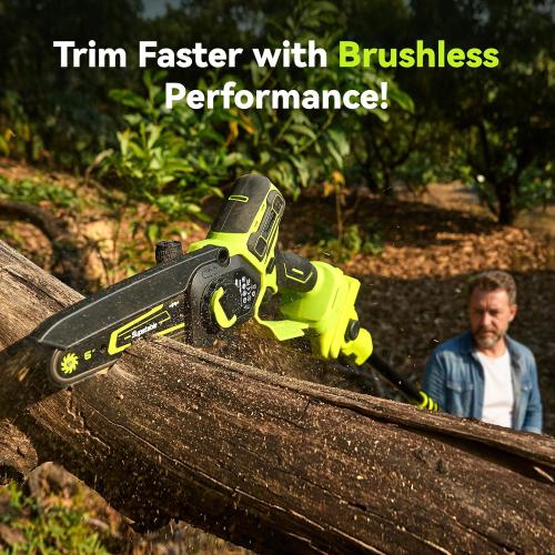 Electric Pole Saws for Tree Trimming, 8 Inch & 6 Inch Mini Chainsaw Cordless with Extension Pole, 16Ft Reach, 2x4.0Ah Battery, Auto Oiling, Tool-Free Chain Tensioning, Tree Trimmer for Branch Limb Cut